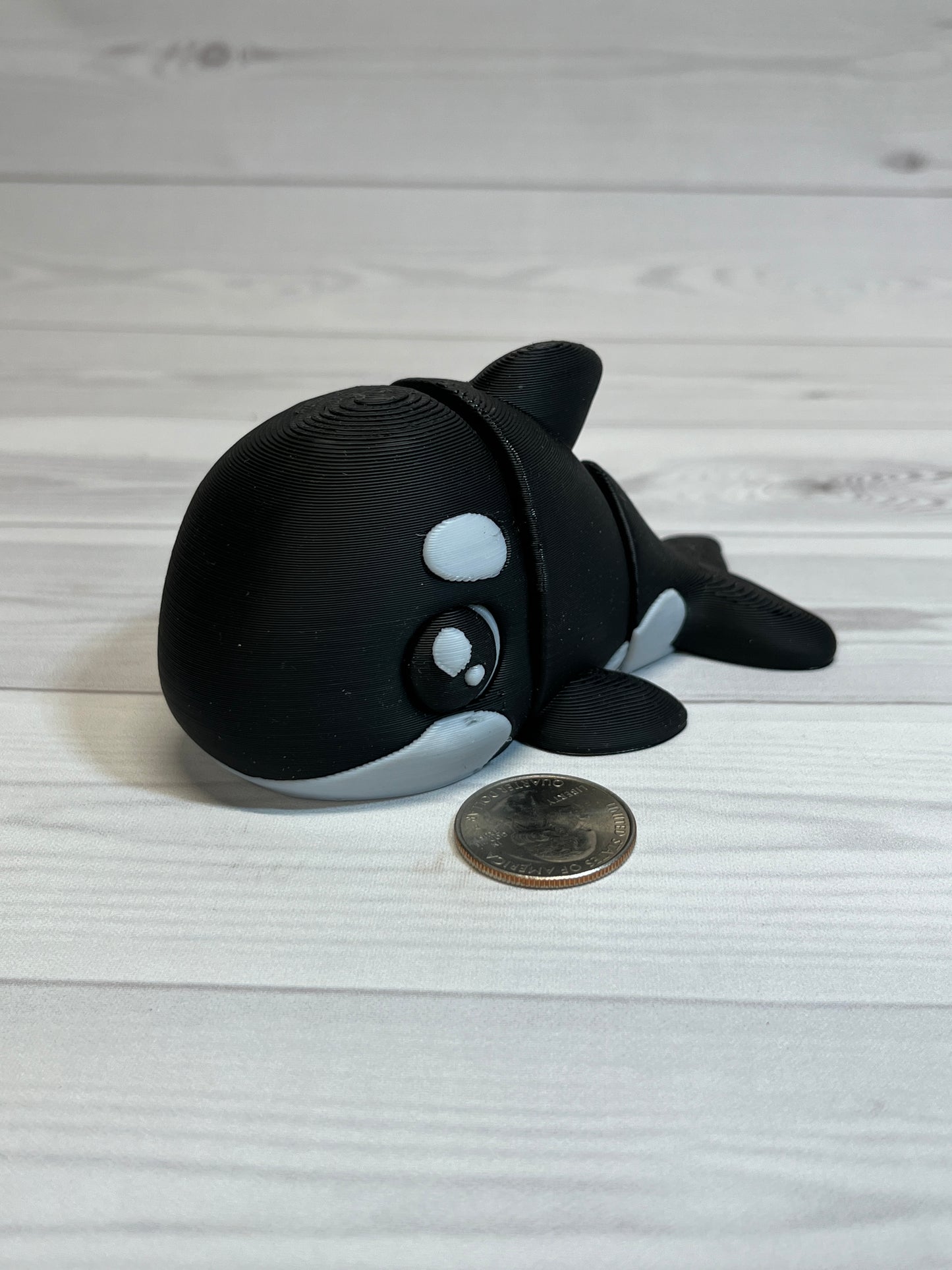 Orca