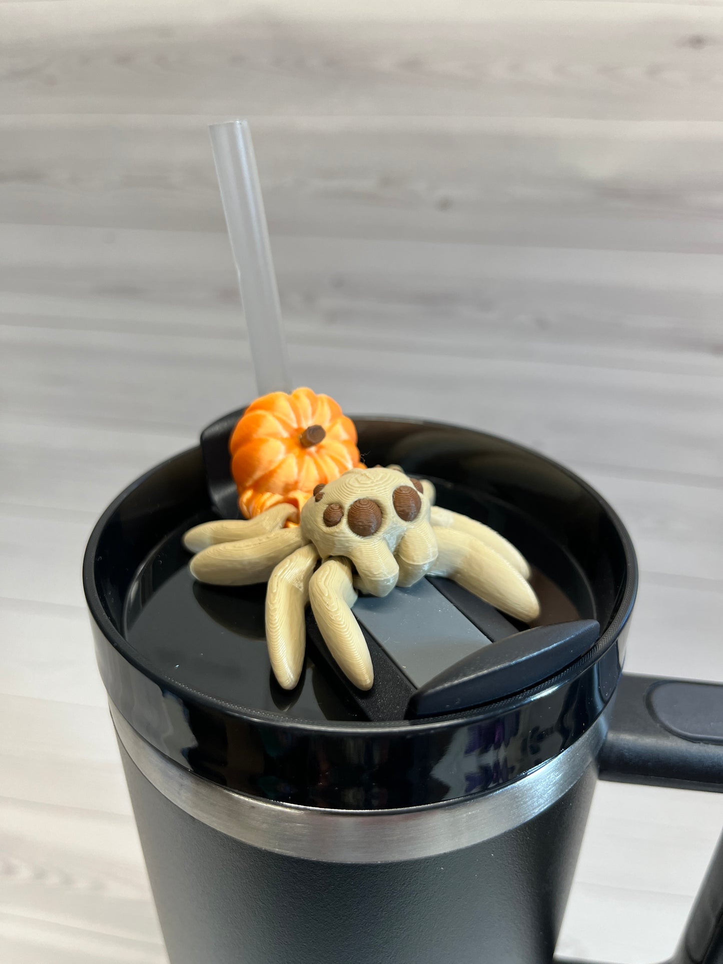 Spider Pumpkin Straw Buddy