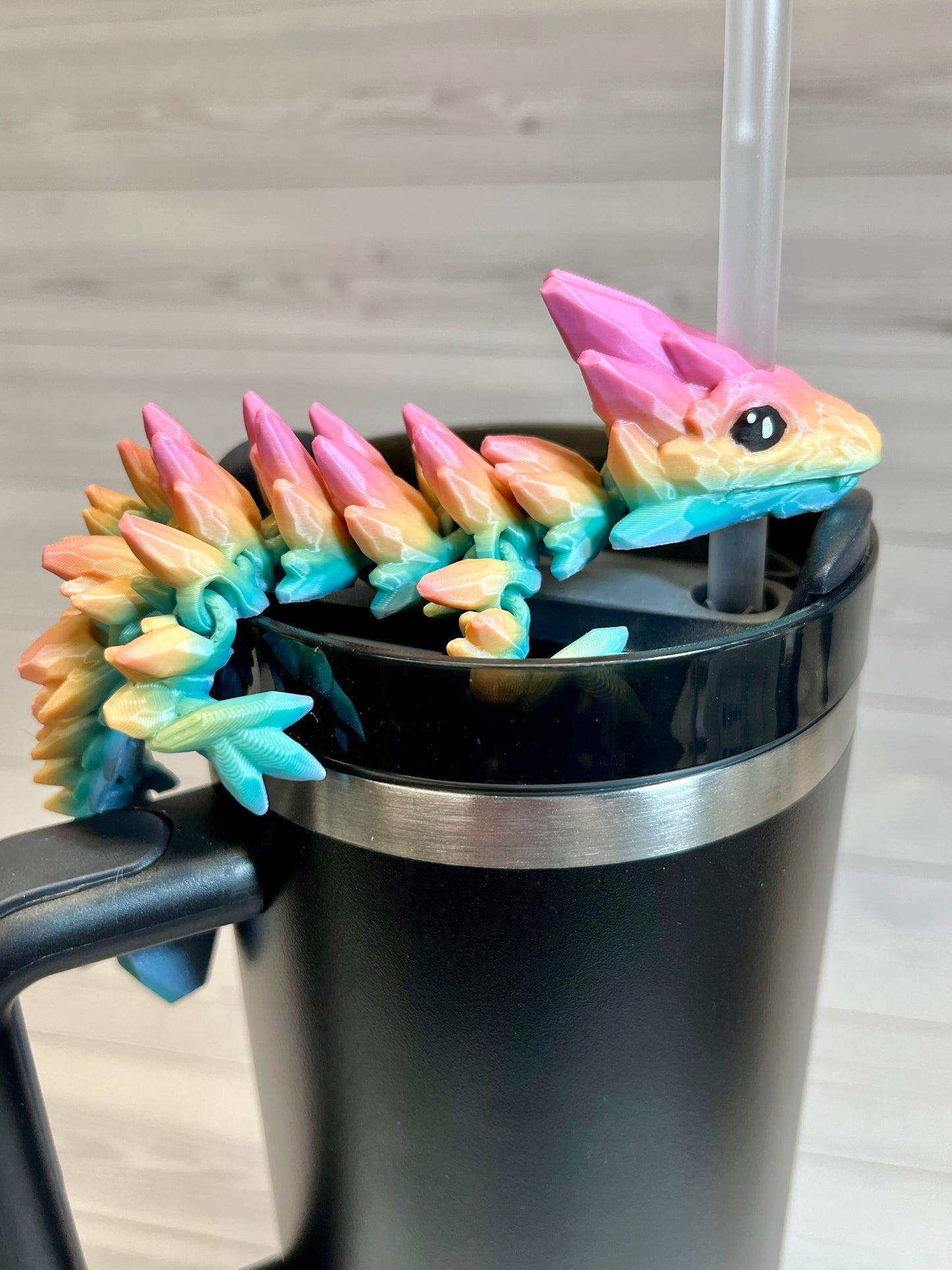 Dragon Straw Buddy- Rainbow