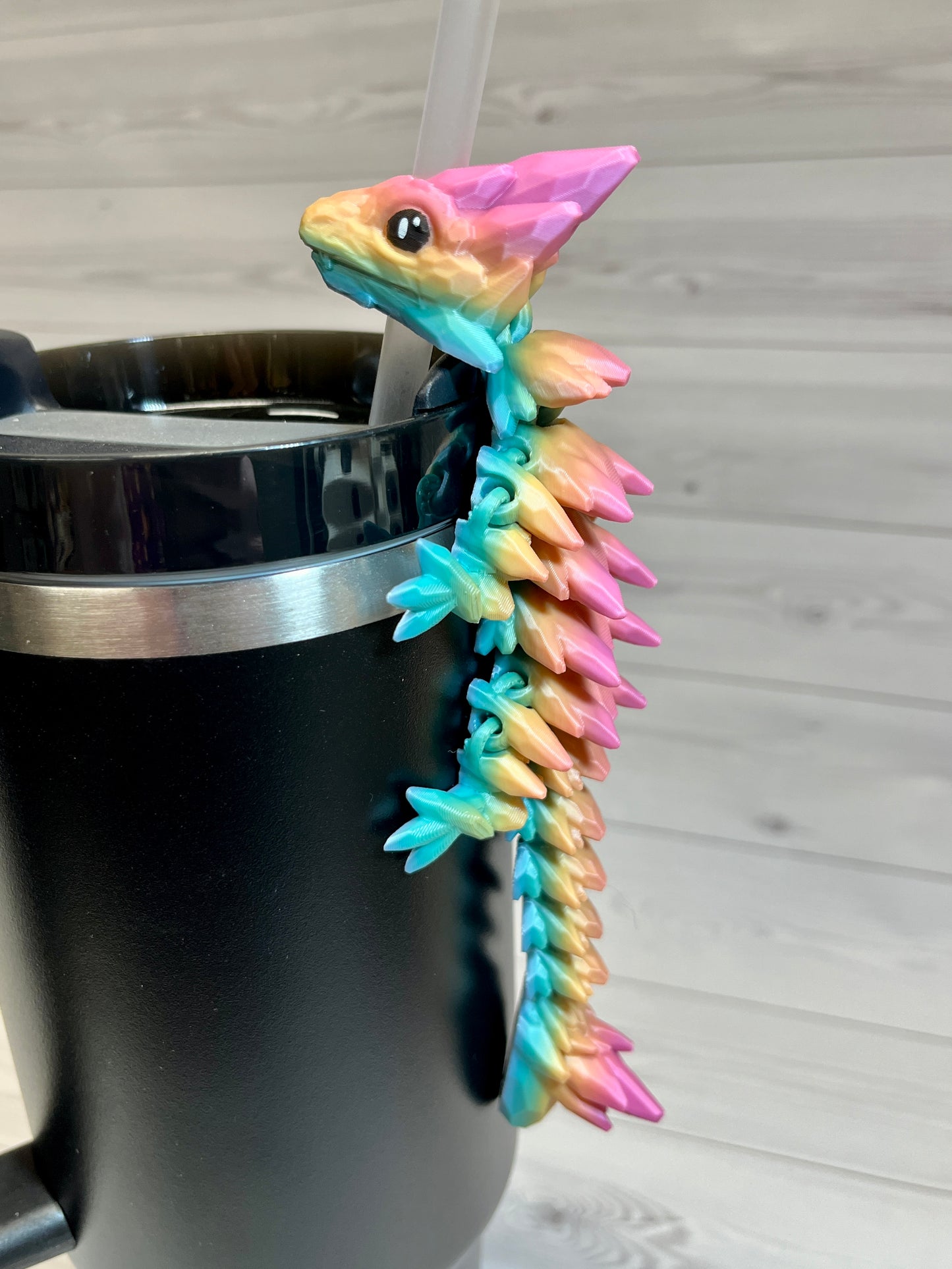 Dragon Straw Buddy- Rainbow