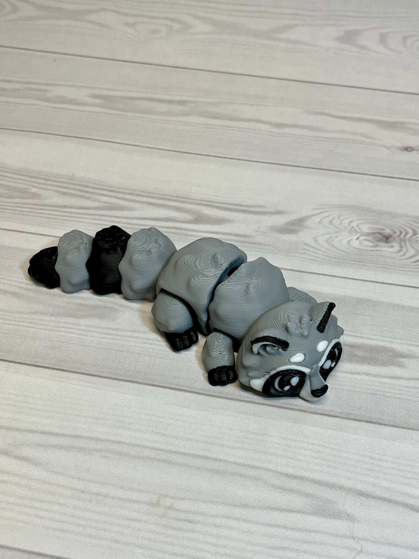 Raccoon