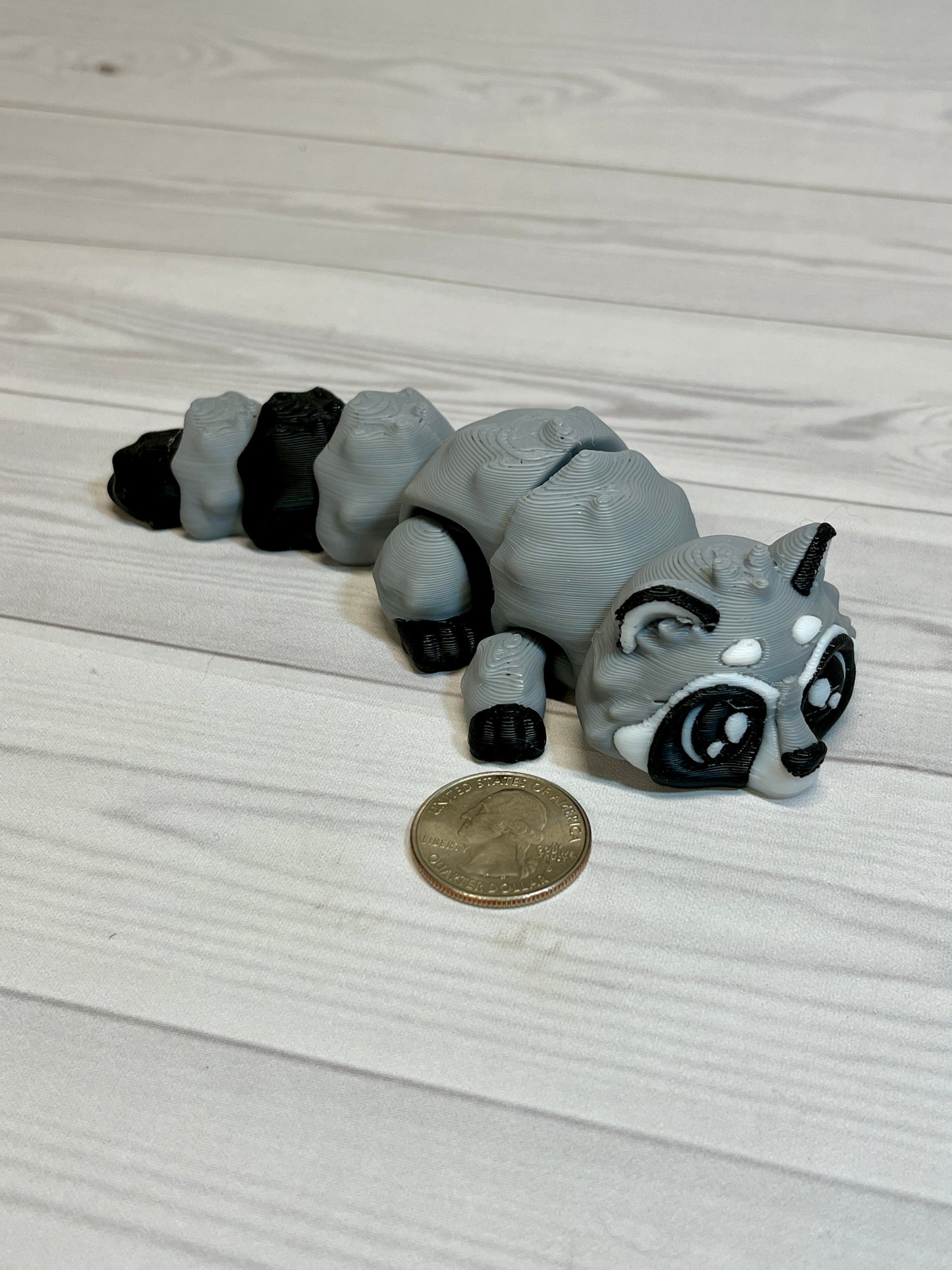 Raccoon