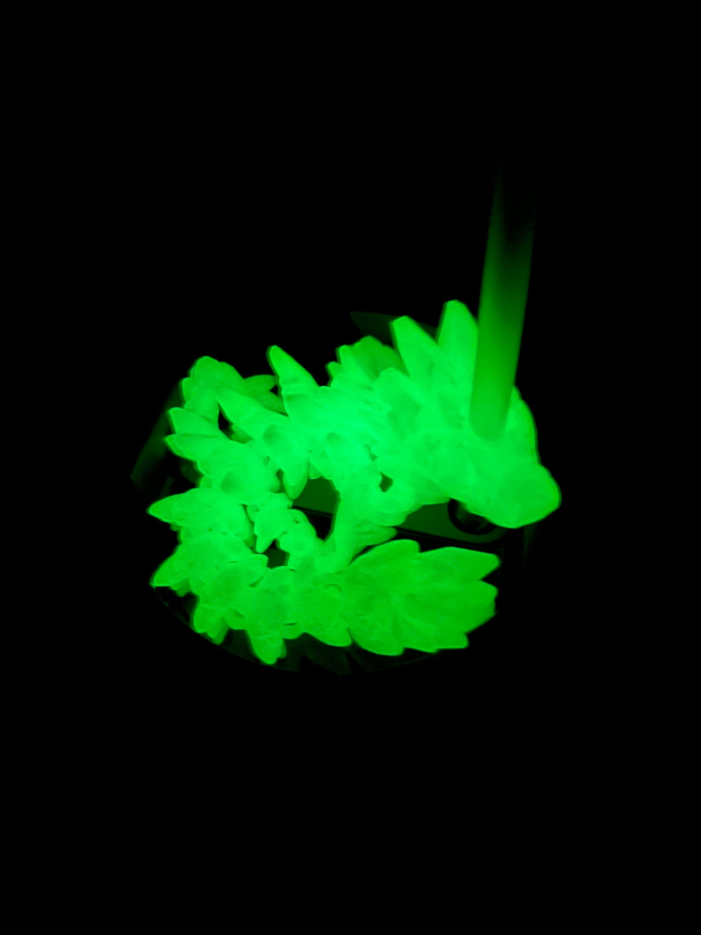 Dragon Straw Buddy- Glow in the Dark Green