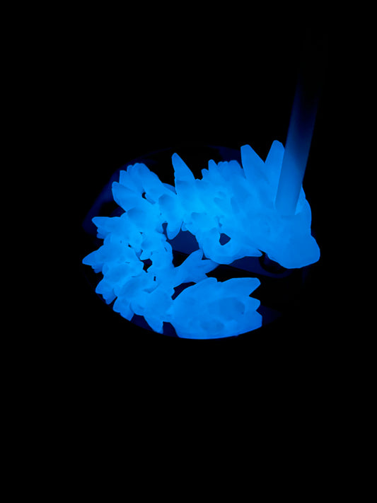 Dragon Straw Buddy- Glow in the dark- Blue